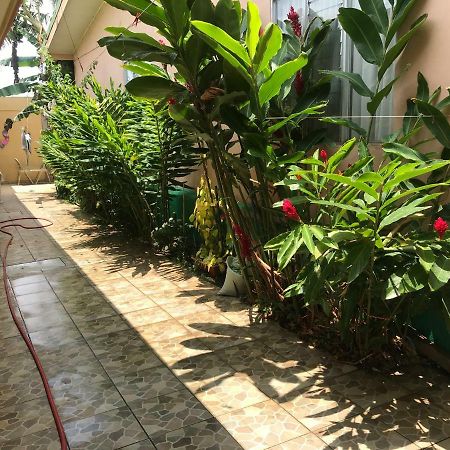 Desamparados  Casa Del Suizo B&B 외부 사진