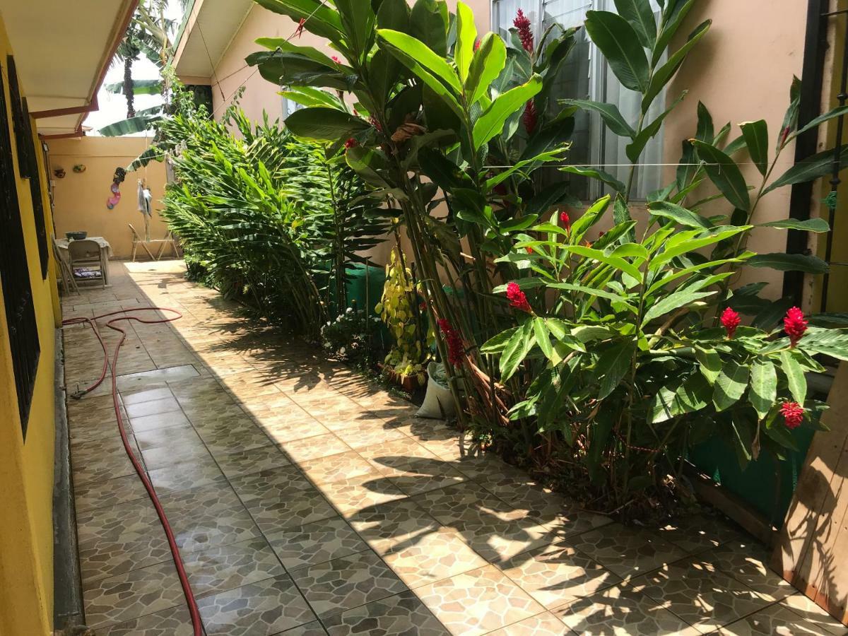 Desamparados  Casa Del Suizo B&B 외부 사진